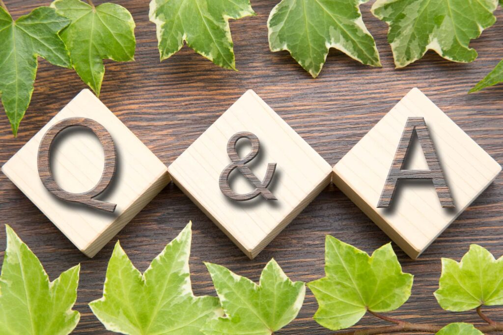 Q&Aの文字と葉っぱ